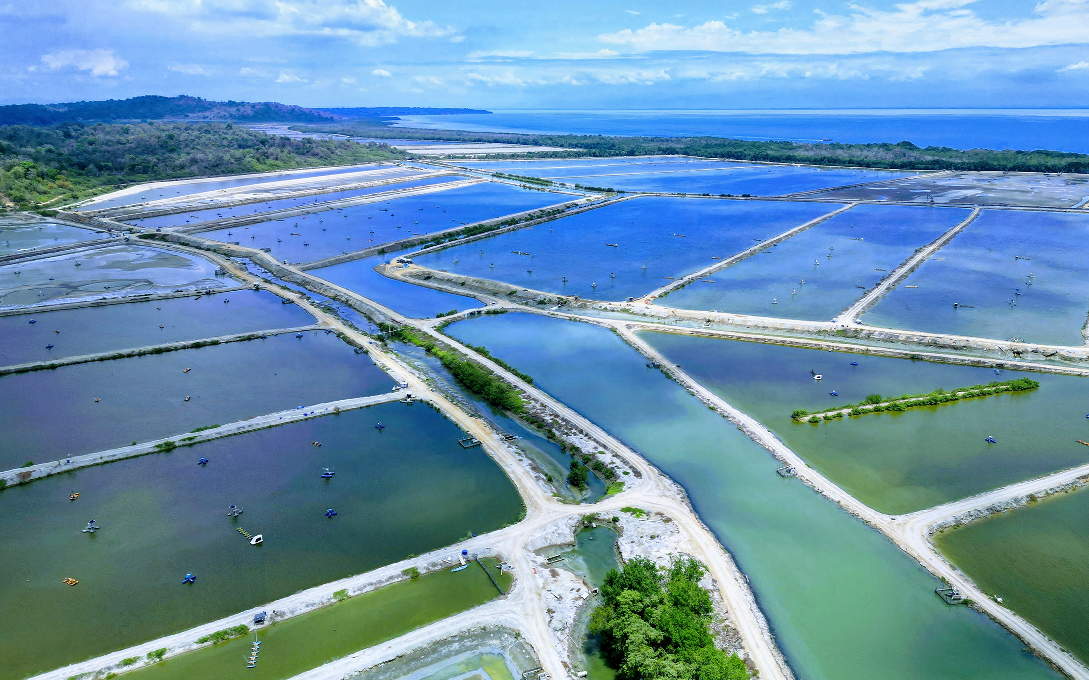 Nuestra Planta Aquagold