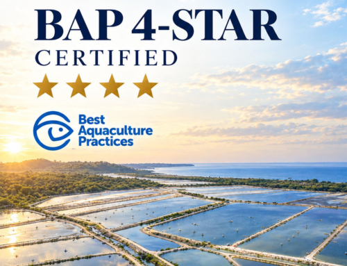 BAP 4-Star Certified Shrimp from Ecuador | Aquagold
